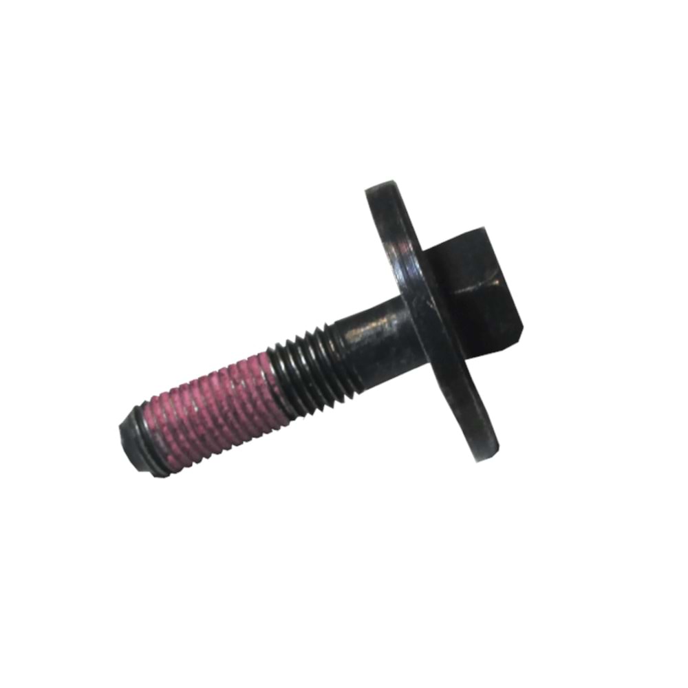 EKSANTRİK ZİNCİR DİŞLİ CİVATASI / D400/RS200/NS200 BAJAJ