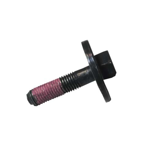 EKSANTRİK ZİNCİR DİŞLİ CİVATASI / D400/RS200/NS200 BAJAJ