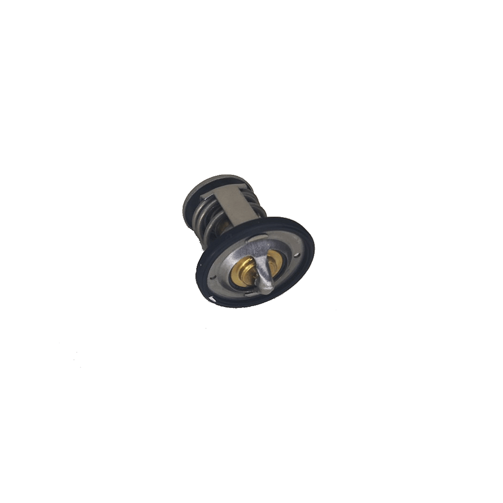 TERMOSTAT PULSAR200NS/RS200/EURO4/BAJAJ