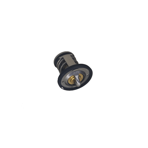 TERMOSTAT PULSAR200NS/RS200/EURO4/BAJAJ