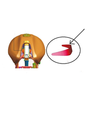 YAKIT DEPO BANTI DISCOVER 125ST/150S/150F BAJAJ